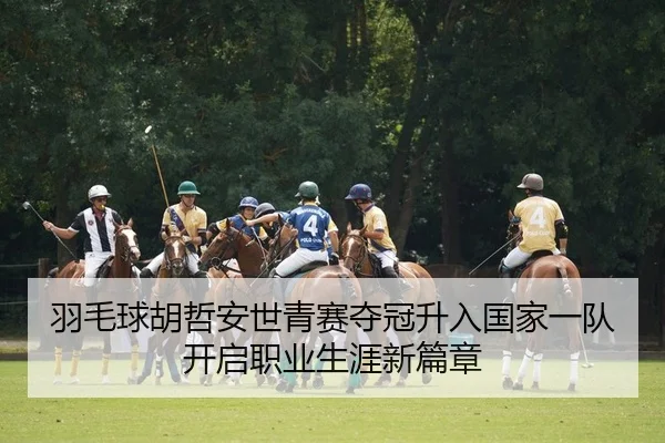 yu-mao-qiu-hu-zhe-an-shi-qing-sai-duo-guan-sheng-ru-guo-jia-yi-dui-kai-qi-zhi-ye-sheng-ya-xin-pian-zhang-2-597.jpg