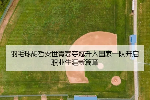 羽毛球胡哲安世青赛夺冠升入国家一队开启职业生涯新篇章